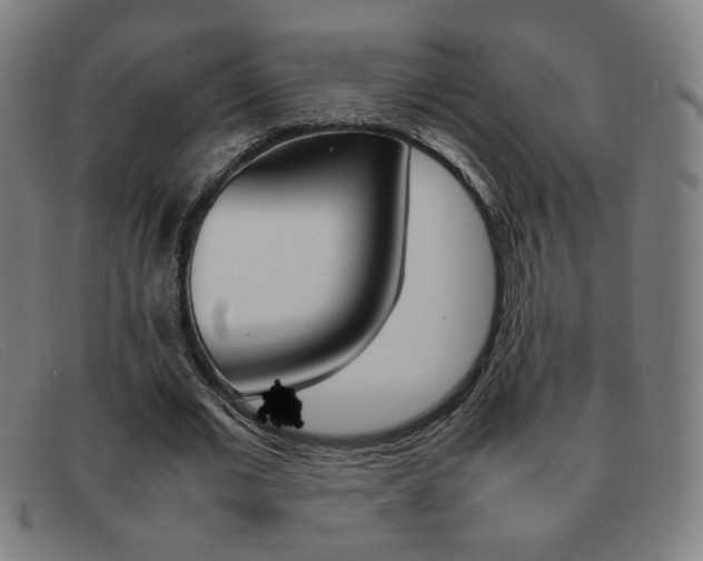 X0000092100677200709121110