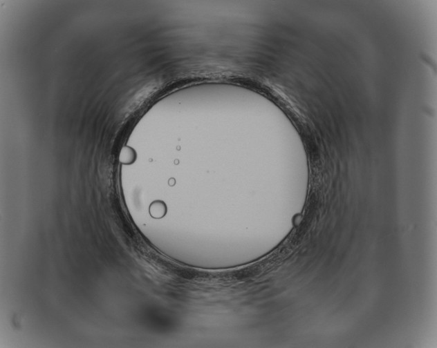 X0000092100679200709121110