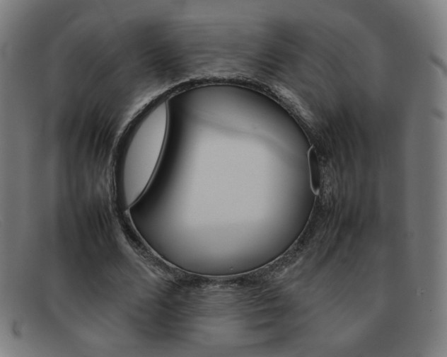 X0000092100680200709121110