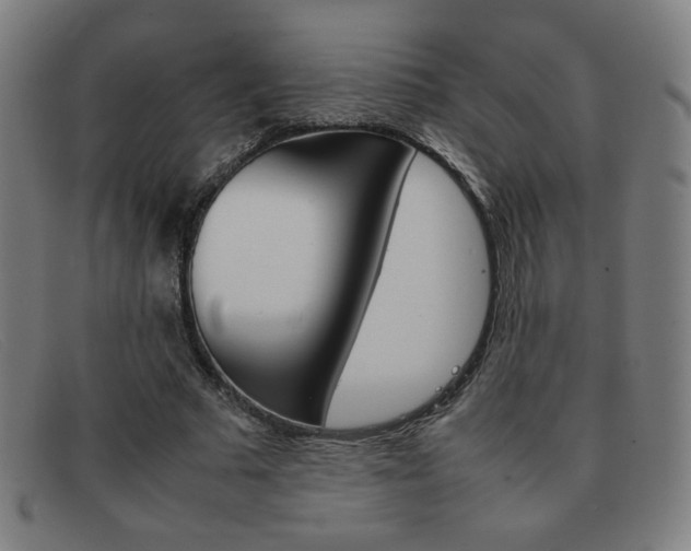 X0000092100681200709121110