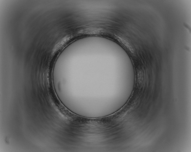 X0000092100682200709121110