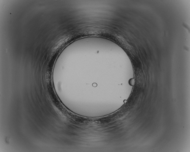 X0000092100683200709121110