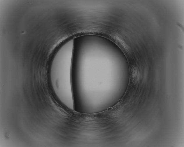 X0000092100684200709121110