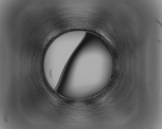 X0000092100685200709121110