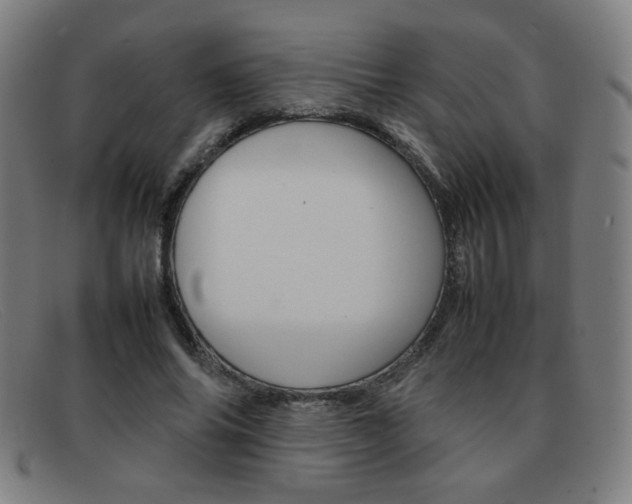 X0000092100686200709121110