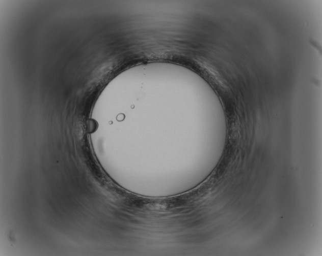 X0000092100687200709121110