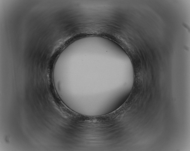 X0000092100688200709121110