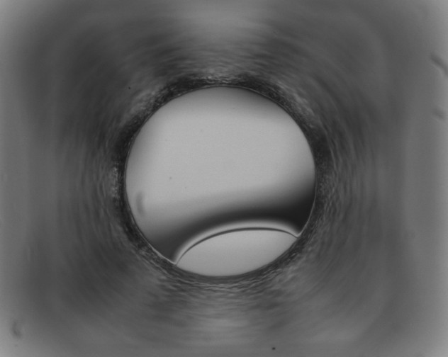 X0000092100689200709121110