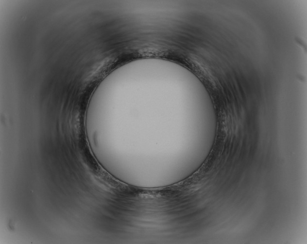 X0000092100690200709121109