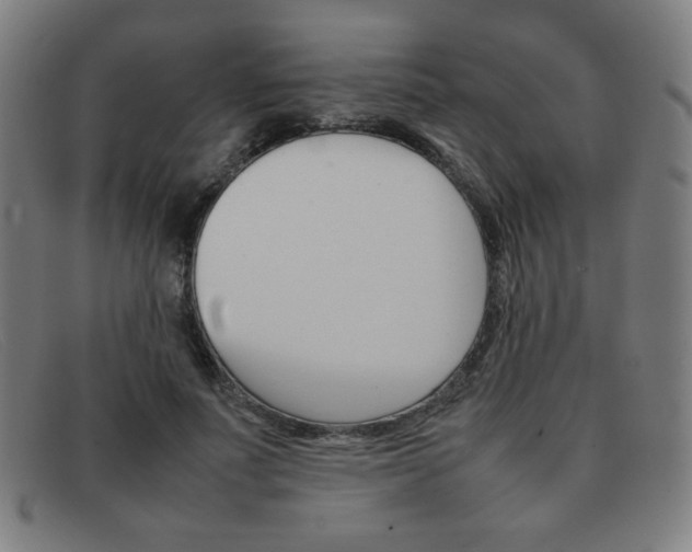 X0000092100691200709121109