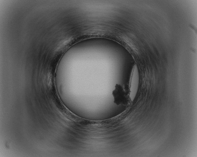 X0000092100692200709121109