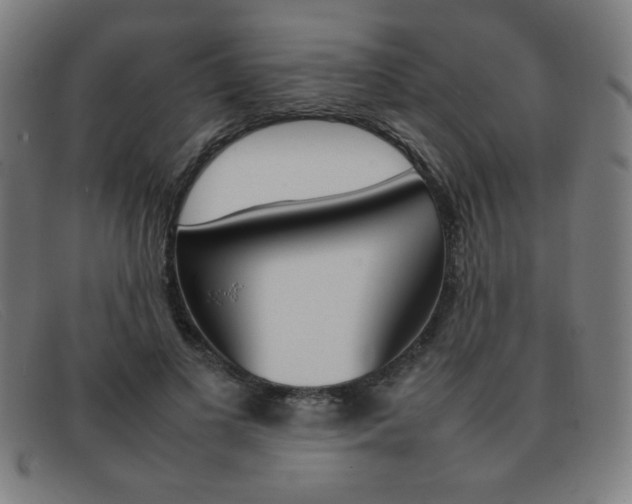X0000092100693200709121109