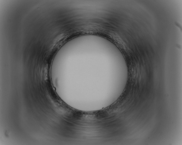 X0000092100694200709121109