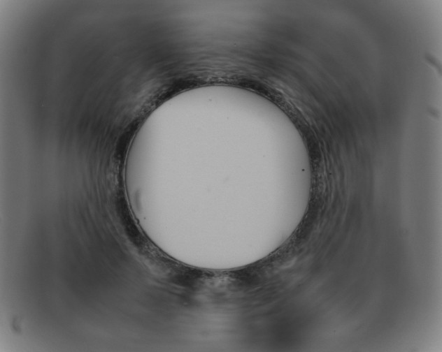 X0000092100695200709121109