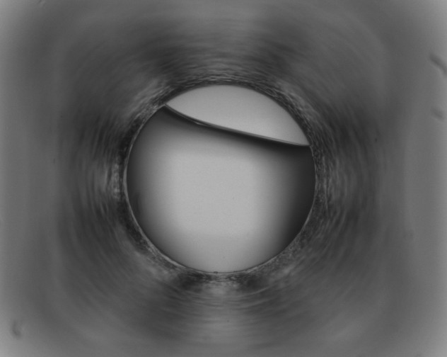 X0000092100696200709121109