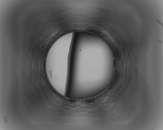 X0000092100697200709121109