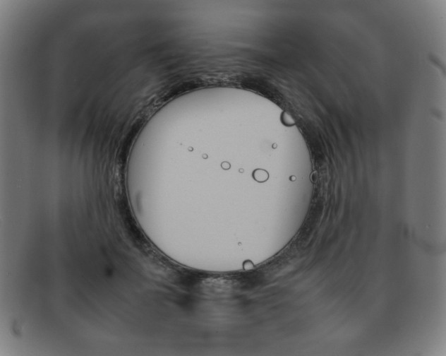 X0000092100699200709121109