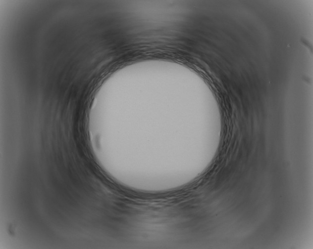 X0000092100701200709121109