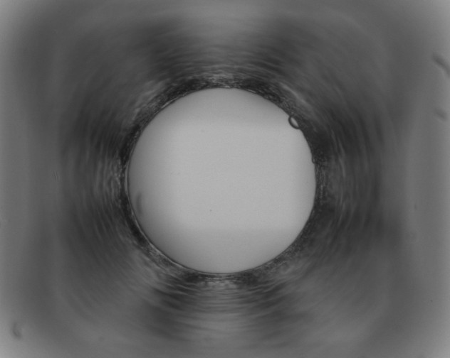 X0000092100702200709121109