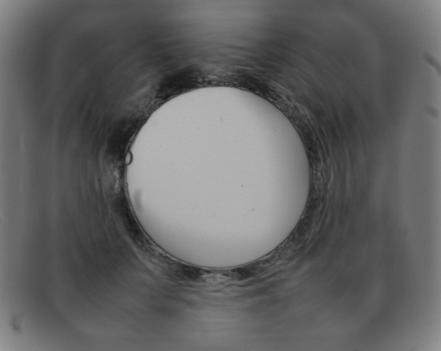X0000092100703200709121109