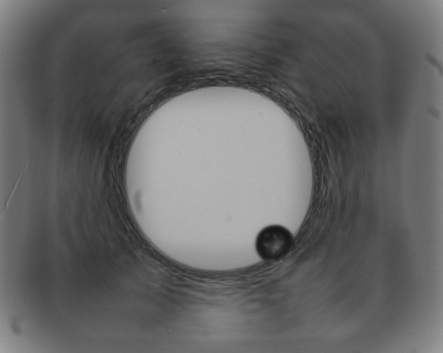 X0000092100705200709121109