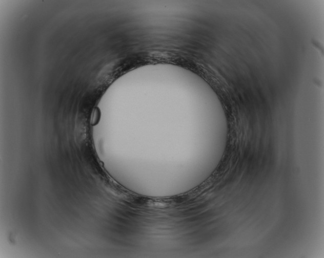 X0000092100706200709121109