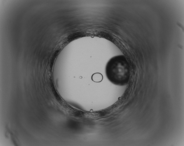 X0000092100707200709121109