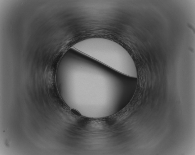 X0000092100708200709121109