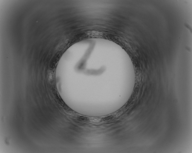 X0000092100709200709121109