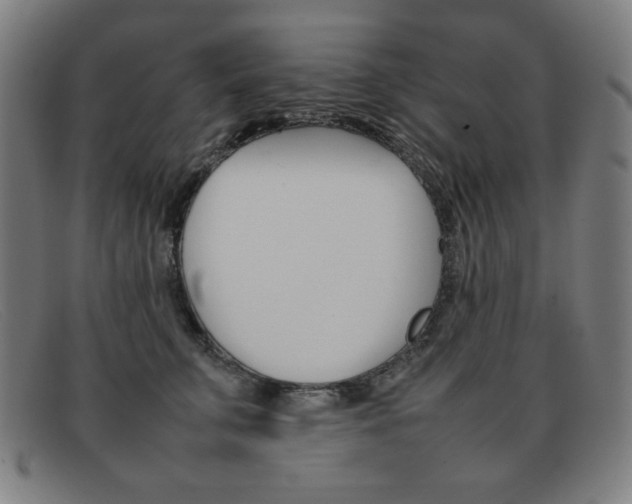 X0000092100711200709121109