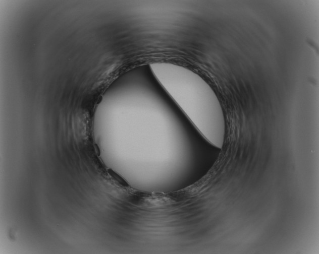 X0000092100712200709121109