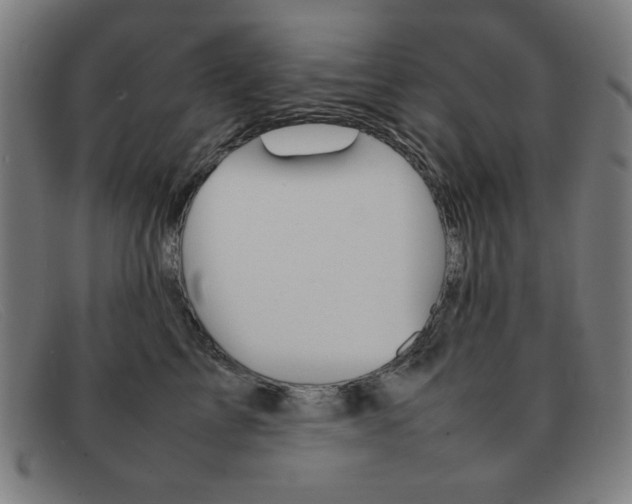 X0000092100713200709121109