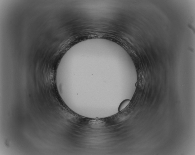 X0000092100714200709121109