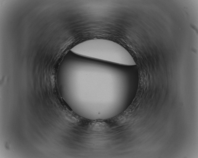 X0000092100716200709121109