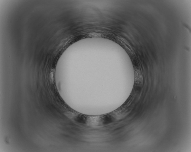 X0000092100717200709121109