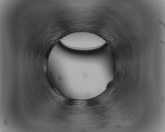X0000092100719200709121109