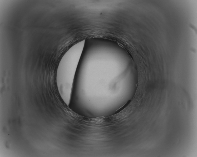 X0000092100720200709121109