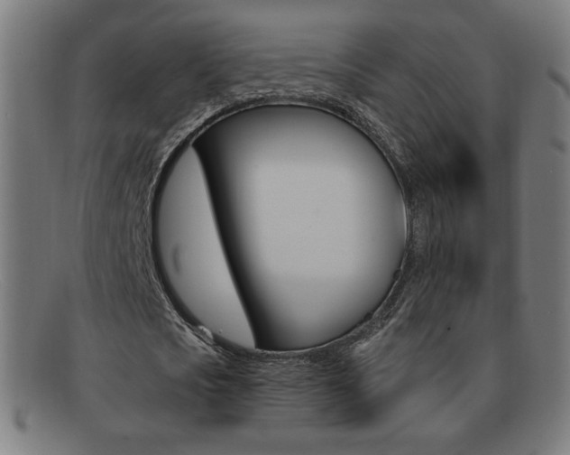 X0000092100721200709121109