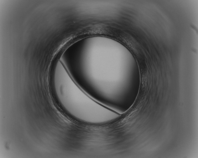 X0000092100722200709121109