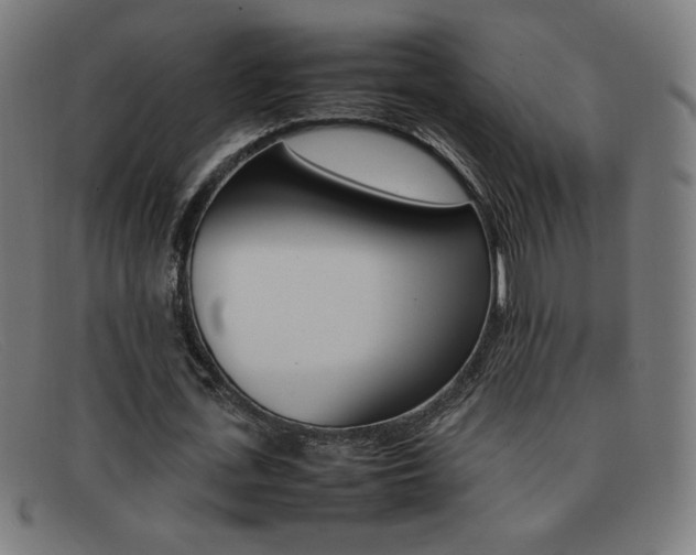 X0000092100723200709121109