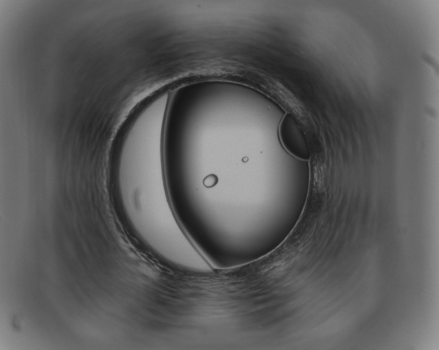 X0000092100724200709121109
