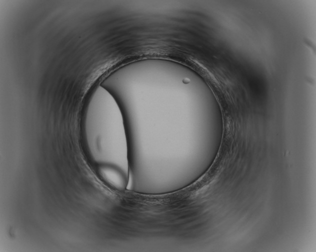 X0000092100725200709121109