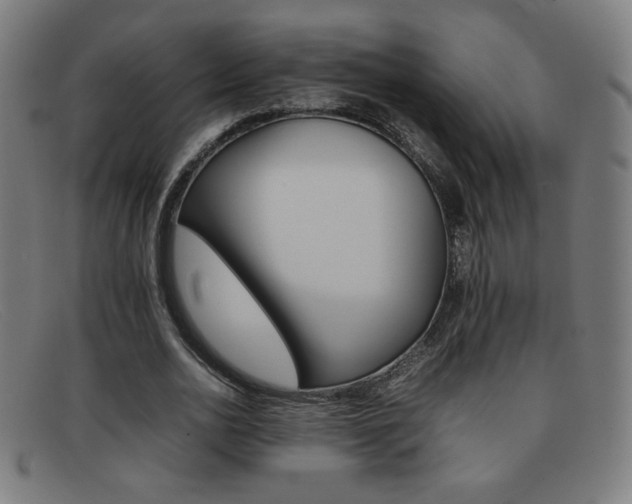 X0000092100726200709121109