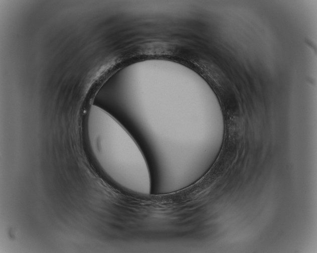 X0000092100727200709121109