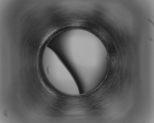 X0000092100728200709121109