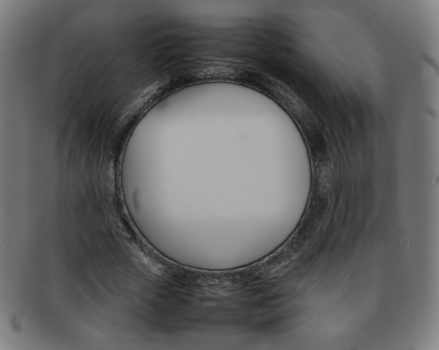 X0000092100729200709121109