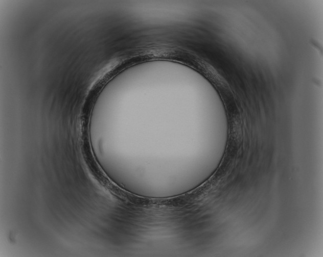 X0000092100730200709121109