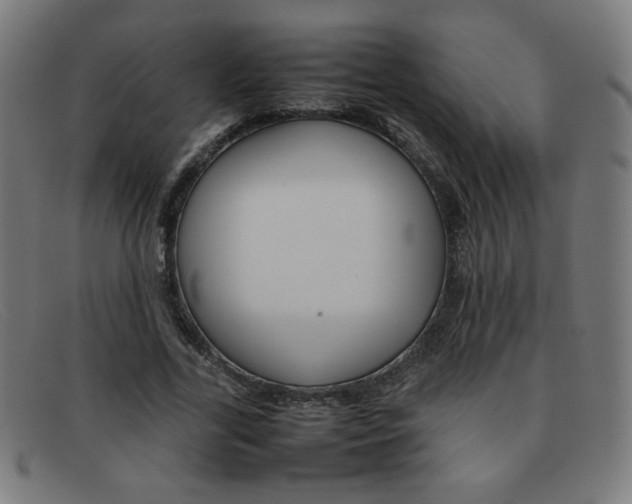 X0000092100731200709121109