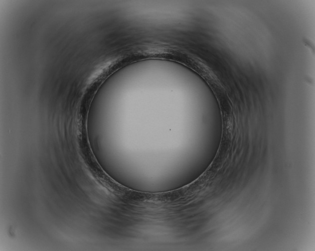 X0000092100732200709121109