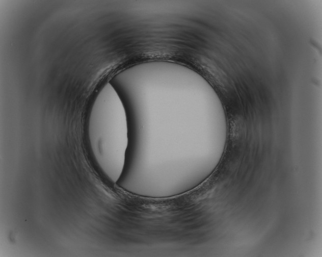 X0000092100733200709121109
